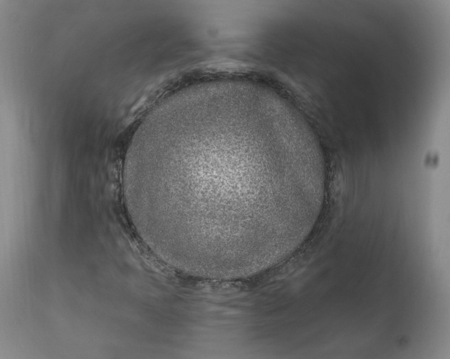 X0000110921397200907091446