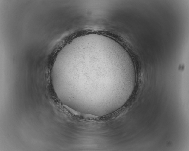 X0000110921398200907091446