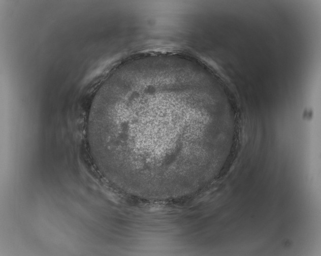 X0000110921399200907091446