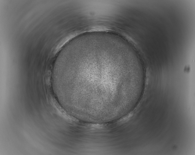 X0000110921401200907091446