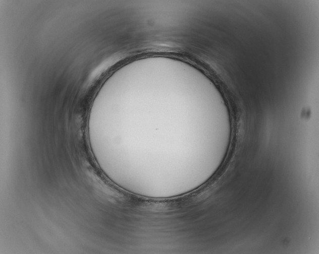 X0000110921402200907091446