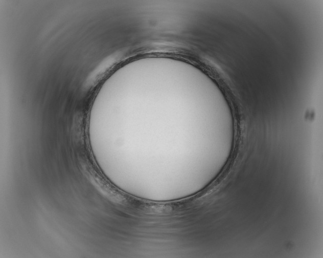 X0000110921403200907091446