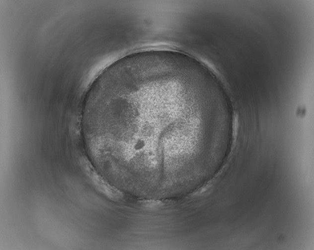X0000110921405200907091446