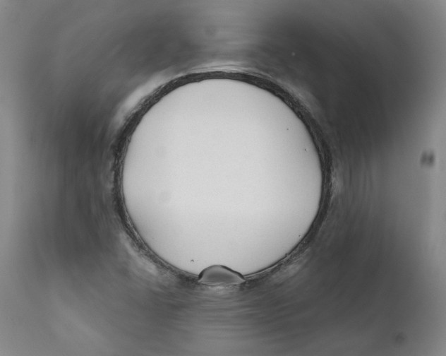 X0000110921406200907091446