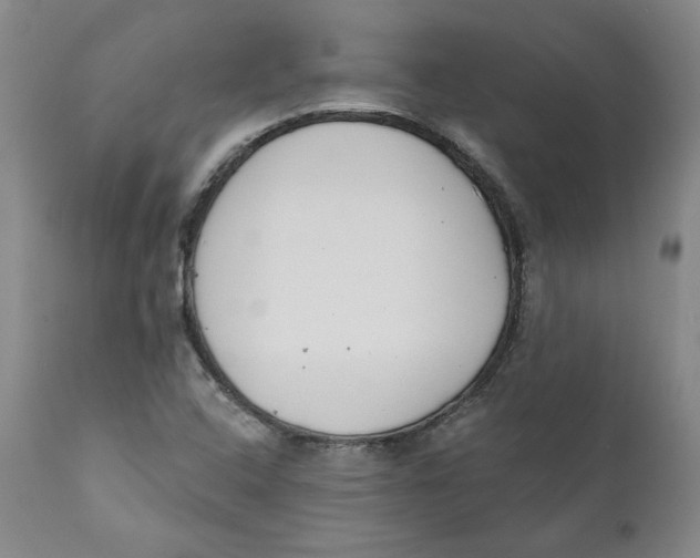 X0000110921408200907091446