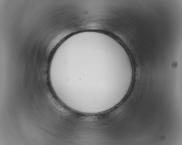 X0000110921410200907091446