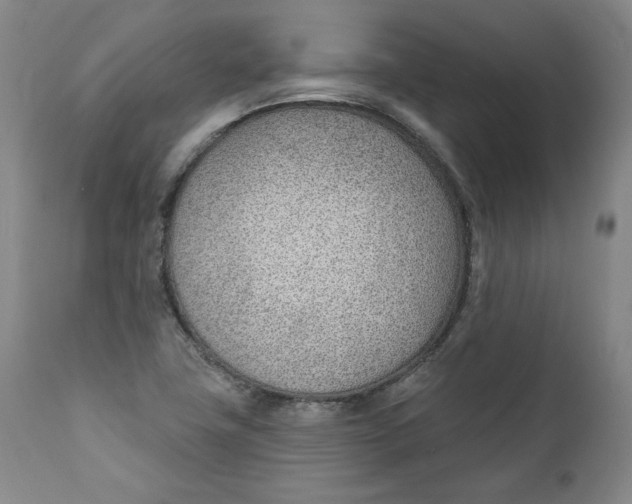 X0000110921411200907091446