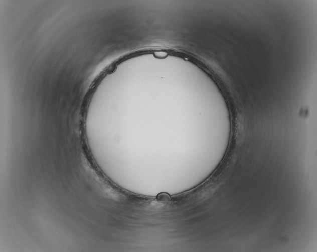 X0000110921412200907091446