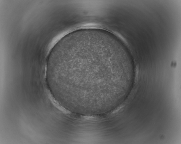 X0000110921413200907091446