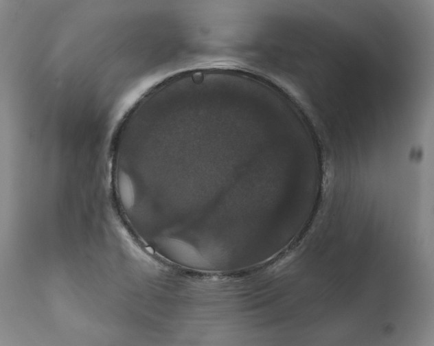 X0000110921414200907091446