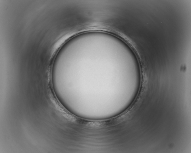 X0000110921415200907091446