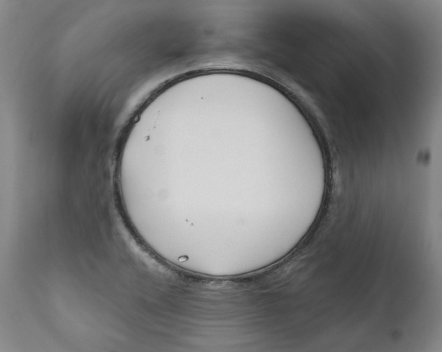 X0000110921416200907091446