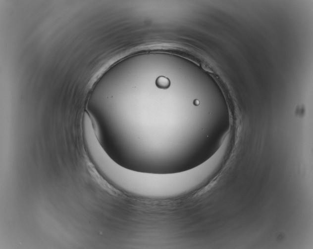 X0000110921417200907091446
