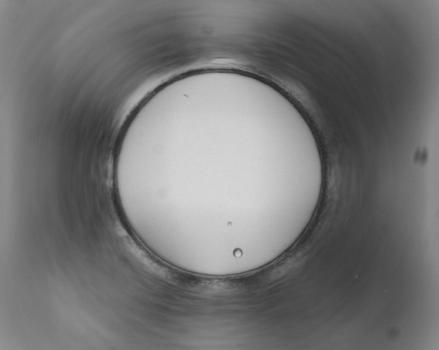 X0000110921420200907091446