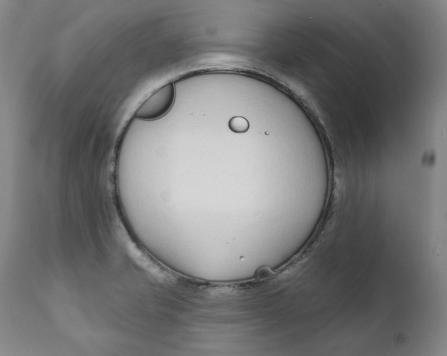 X0000110921421200907091446
