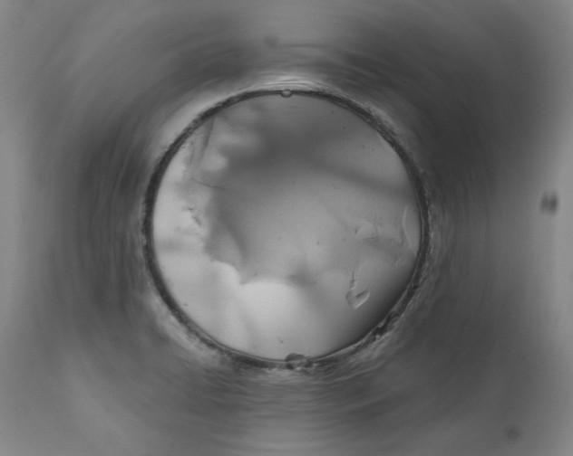 X0000110921422200907091446