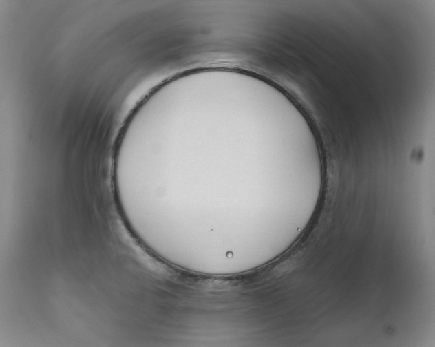 X0000110921424200907091446