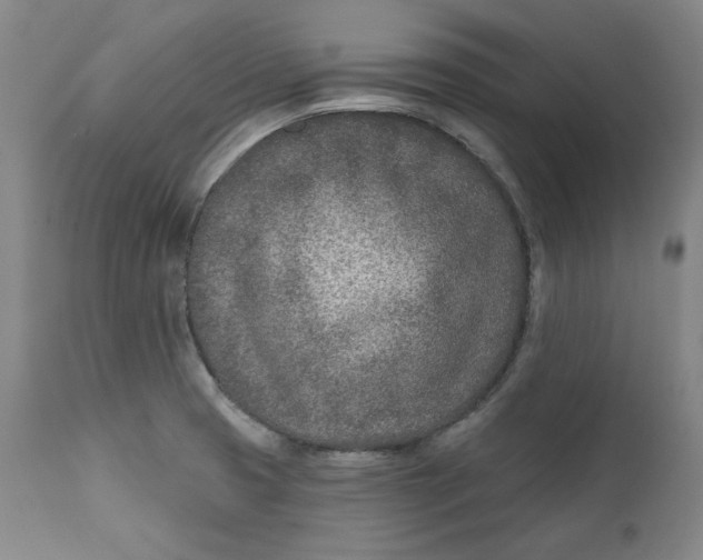 X0000110921425200907091446
