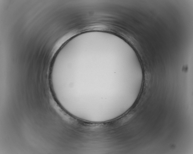 X0000110921426200907091446