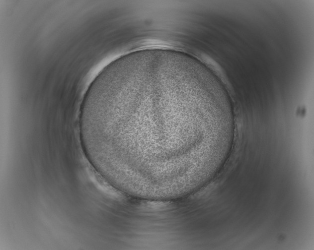 X0000110921427200907091446