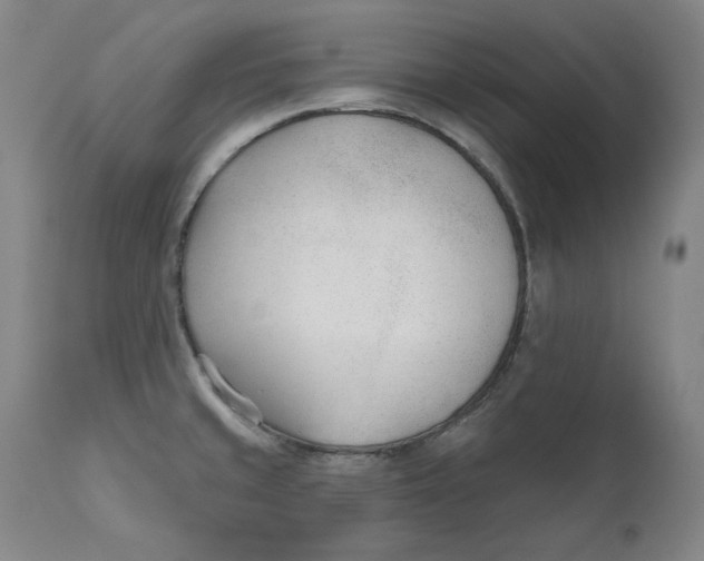 X0000110921429200907091446