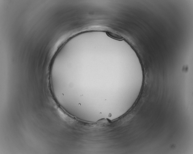 X0000110921430200907091446