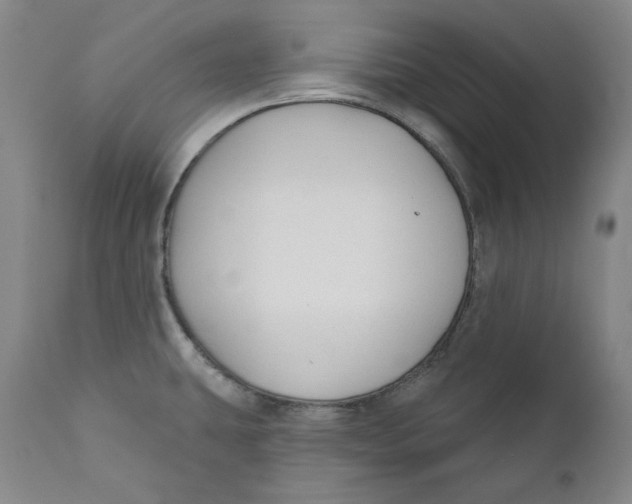 X0000110921431200907091446
