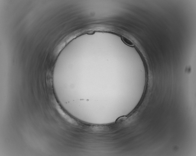 X0000110921433200907091446