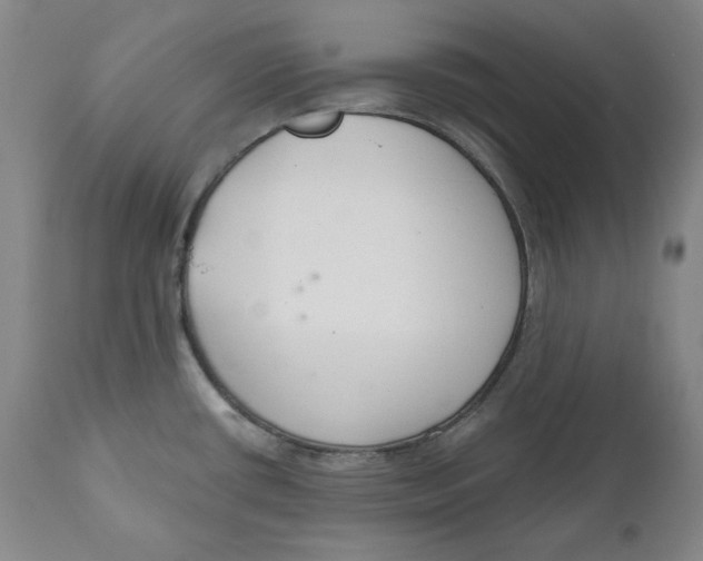 X0000110921434200907091446