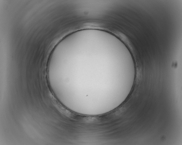 X0000110921435200907091446