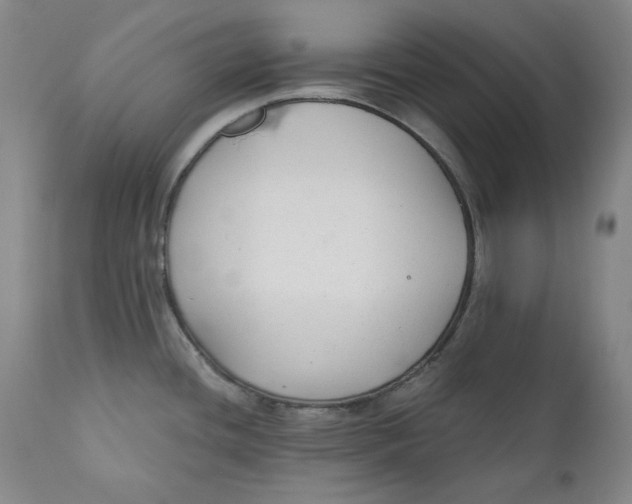 X0000110921436200907091446