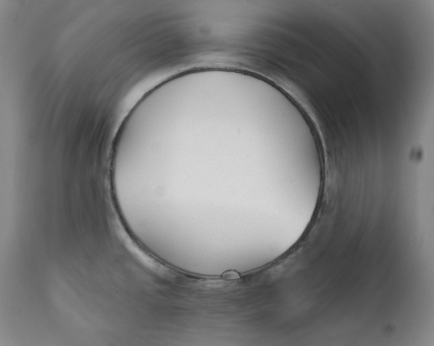 X0000110921437200907091446