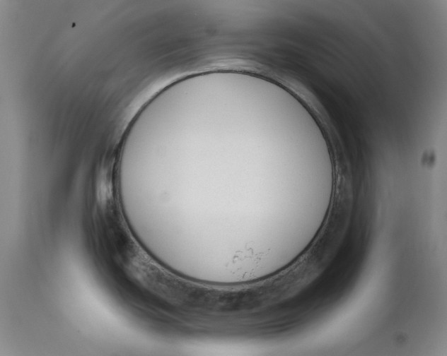 X0000110921439200907091446