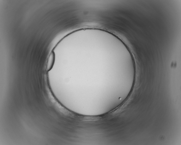 X0000110921440200907091446