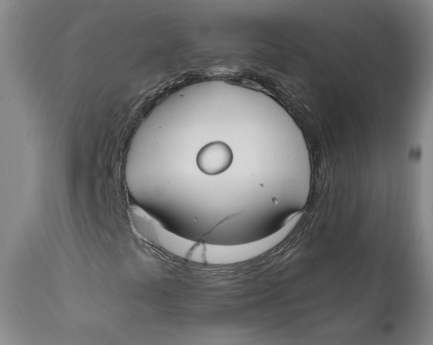 X0000110921441200907091445