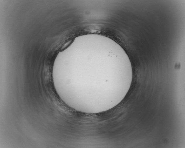 X0000110921442200907091445