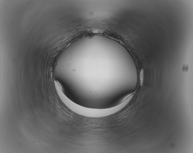 X0000110921443200907091445