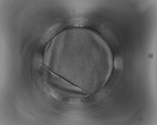 X0000110921444200907091445