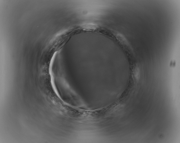 X0000110921445200907091445