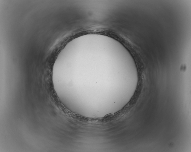 X0000110921447200907091445