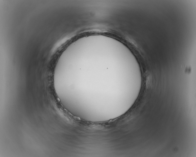 X0000110921448200907091445