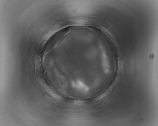 X0000110921449200907091445