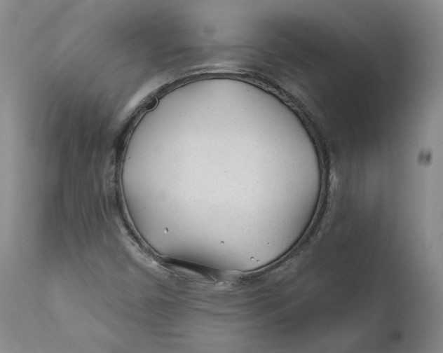 X0000110921450200907091445