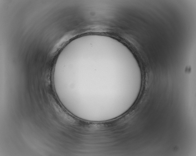 X0000110921451200907091445