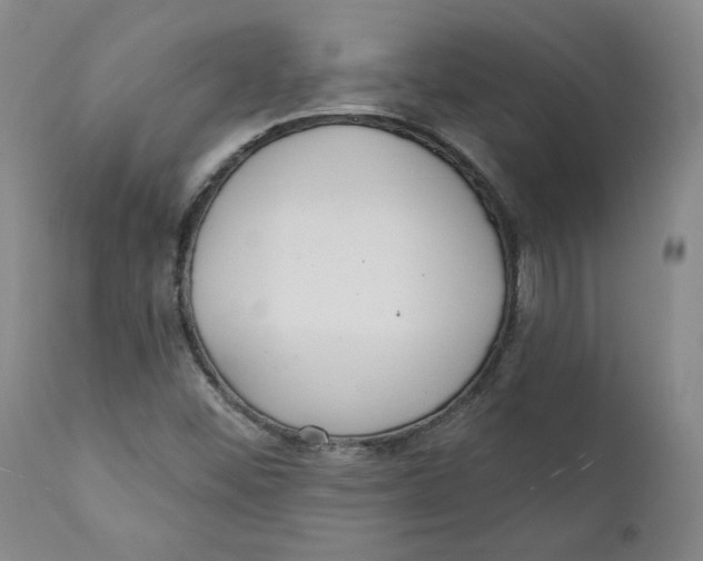 X0000110921452200907091445