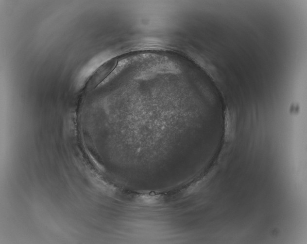 X0000110921453200907091445
