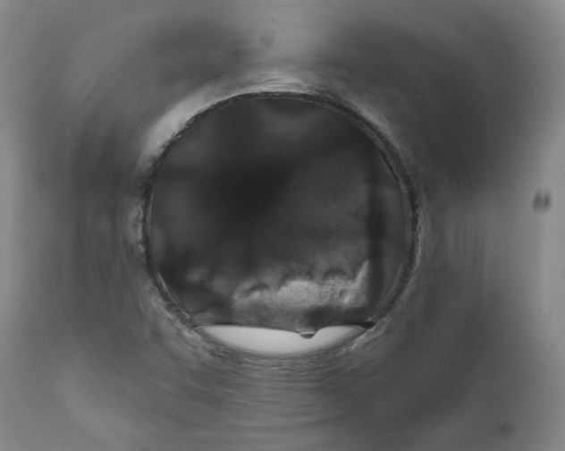 X0000110921455200907091445