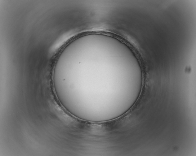 X0000110921456200907091445