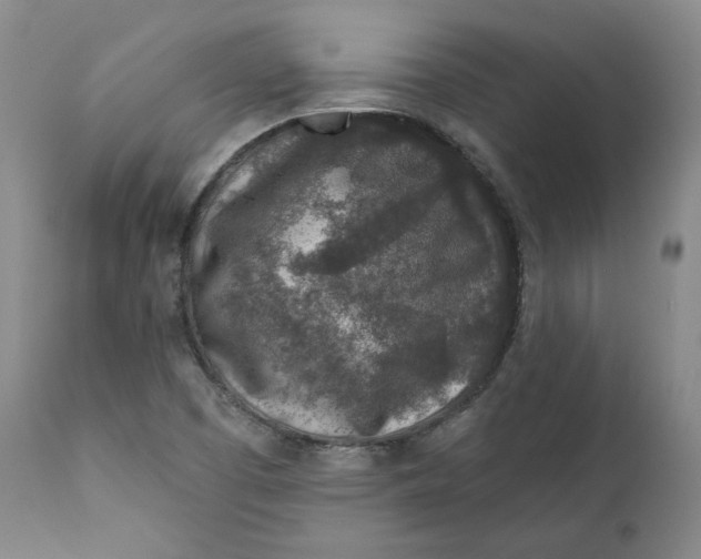 X0000110921457200907091445