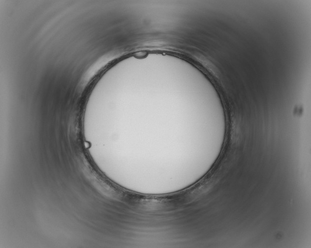 X0000110921458200907091445